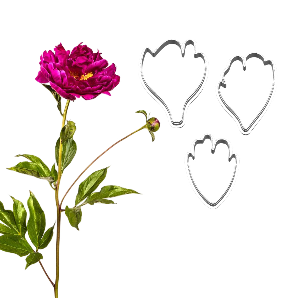New Peony Silicone Molds&Cutte - Candle Making Workshop recension och pris